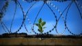 Families of soldiers killed in captivity will receive UAH 15 million assistance - Defense Ministry