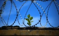 Families of soldiers killed in captivity will receive UAH 15 million assistance - Defense Ministry