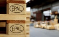 EPAL will strip of licenses Euro pallet manufacturers in Ukraine for using illegally sourced wood