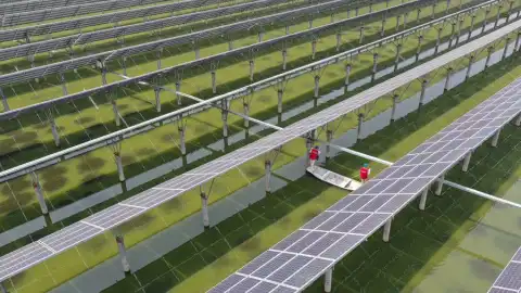 Workers check equipment at a photovoltaic (PV) power station, which combines fish farming and solar power generation, in Zhenwu Town of Yangzhou in east China's Jiangsu Province. Photo by Xinhua/Ji Chunpeng.

