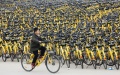 Bicycle in China. Photo by Xinhua.