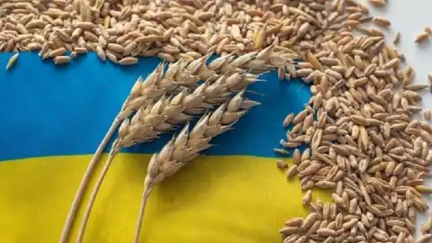 Україна подала позов проти Польщі, Словаччини та Угорщини через зерно; Умєров звільнив всіх заступників, крім одного; Кремль не знає, що сталося з Кадировим