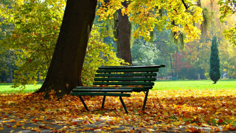 Осінь. Фото: pixabay
