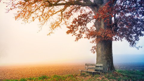 Осінь. Фото: pixabay