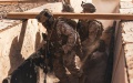 US military actively studying and introducing combat experience of AFU - media