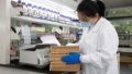 Chinese scientist arranging laboratory logs at a lab of the Tianjin Institute of Industrial Biotechnology, Chinese Academy of Sciences. Photo by Xinhua/Jin Liwang.