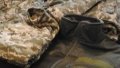 Winter uniforms, aircraft bombs and artillery shells. Ukraine to receive new military aid package from Canada