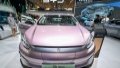 Chinese-brand passenger car. Photo by Xinhua.
