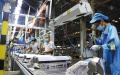 China's home appliance sector. Photo by Xinhua.