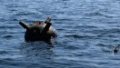 Bulgarian and Romanian Navy begin clearing the Ukrainian sea corridor from mines