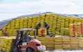 Staff members of the Jianshe Farm Co., Ltd. of Beidahuang Group transport materials at the company's fertilizer blending center in Heihe, northeast China's Heilongjiang Province. Photo by Xinhua/Wang Song.