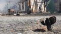 Fund for Liquidation of Consequences of Armed Aggression tells where it spent assets confiscated from russians