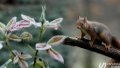 Ukraine will be covered by Arctic cold: forecasters warn of snow and "minuses" in April