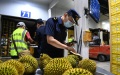 Custom staff members check imported durians at the port of the Friendship Pass in Pingxiang, south China's Guangxi Zhuang Autonomous Region. Photo by Xinhua/Cao Yiming.