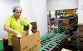 China to improve support, service for private businesses. Photo by Xinhua.
