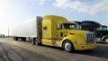 Sales of new commercial vehicles up 11% to 783 units in January