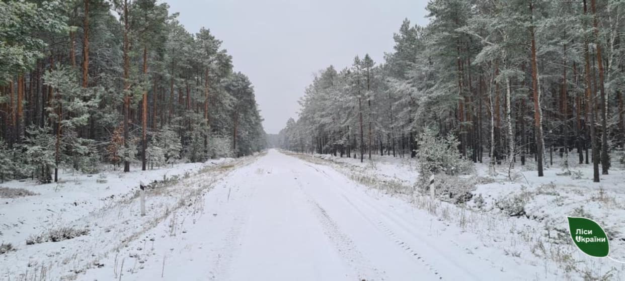 Фото: Поліський лісовий офіс
