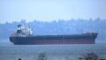 Russia expanding fleet for transportation of oil to bypass sanctions, it already accounts for 70%