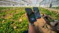 A florist hosts a live streaming show at a flower field in Qujing, southwest China's Yunnan Province. Photo by Xinhua/Jiang Wenyao.