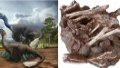 Fossils of dinosaurs, leathery eggs discovered in SW China. Photo by Xinhua.