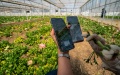 A florist hosts a live streaming show at a flower field in Qujing, southwest China's Yunnan Province. Photo by Xinhua/Jiang Wenyao.