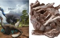 Fossils of dinosaurs, leathery eggs discovered in SW China. Photo by Xinhua.