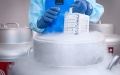 Military personnel allowed to store their reproductive cells in cryobanks for free