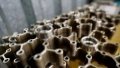 Ukraine to independently supply half of its nuclear fuel needs before 2026 - Energoatom