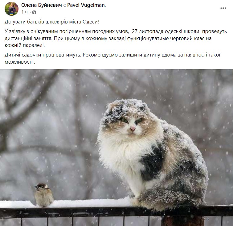 Фото: facebook/Олена Буйневич