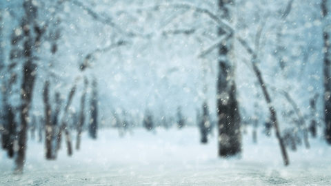 Зима. Фото: depositphotos