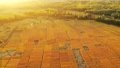Over 5,300-year-old paddy field discovered in east China. Photo by Xinhua.