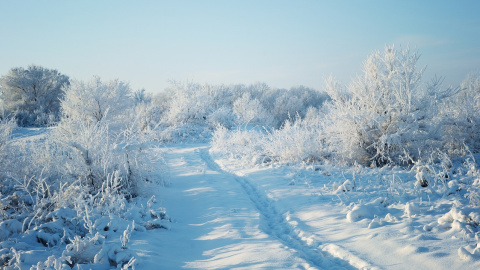 Зима. Фото: pixabay