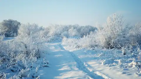 Зима. Фото: pixabay
