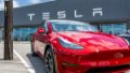 Tesla's annual electric car sales fell for the first time in more than decade