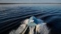 SSU shows new development - Mamai marine drones, which can accelerate up to 110 km/h