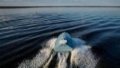 Attacking with naval drones becomes more difficult due to changes in russian defense – Navy commander