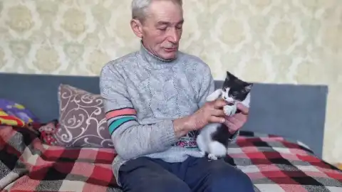 Єдине, що Віталій Кошовий зміг вивезти із Авдіївки, – улюблена кішка. Фото автора.