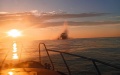 Civilian ship blew up on russian mine in Black Sea, injured reported