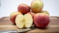 Apples. Photo by Paradisenursery.