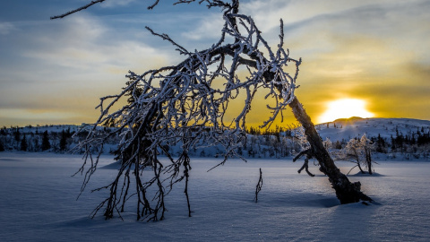 Зима. Фото: pixabay