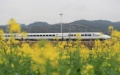 A high-speed train runs along a section of the Guiyang-Guangzhou high-speed railway in Congjiang County, southwest China's Guizhou Province. Photo by Luo Jinglai/Xinhua.