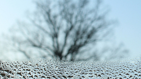 Зима. Фото: pixabay