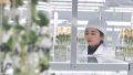 A staff member records information of potato seeds at the technology innovation center of Xisen Potato Industry Co., Ltd. in Shangdu County, north China's Inner Mongolia Autonomous Region. Photo by Xinhua.