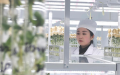 A staff member records information of potato seeds at the technology innovation center of Xisen Potato Industry Co., Ltd. in Shangdu County, north China's Inner Mongolia Autonomous Region. Photo by Xinhua.
