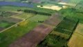 After moratorium on alienation of agricultural land was lifted, 3.4% of plots were sold – Agrarian Policy