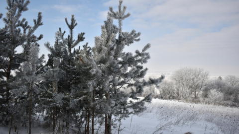 В Україні очікується невеликий сніг. Фото: Radiotrek.