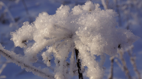 Зима. Фото: pixabay