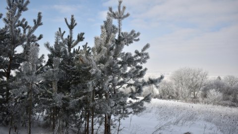 В Украине ожидается небольшой снег. Фото: Radiotrek.