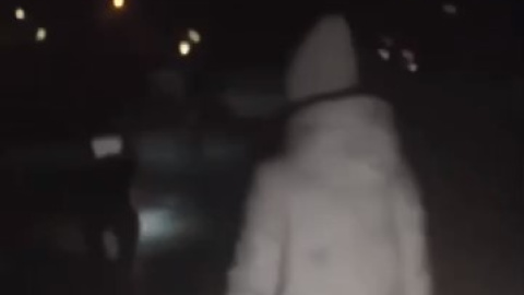 В Києві рятувальники зняли з льоду двох людей
