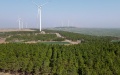 A view of forests on Luchong Mountain in Zhuding Town, Wuhe County, east China's Anhui Province. Photo by Xinhua/Huang Bohan.